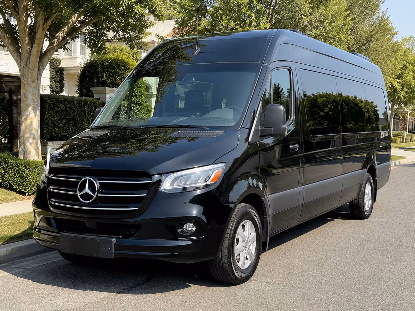 sprinter van with driver
